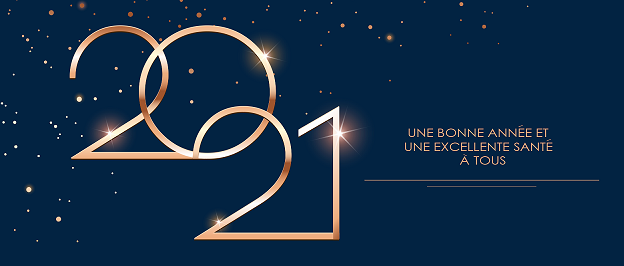 Nous vous souhaitons une bonne année et une excellente santé !