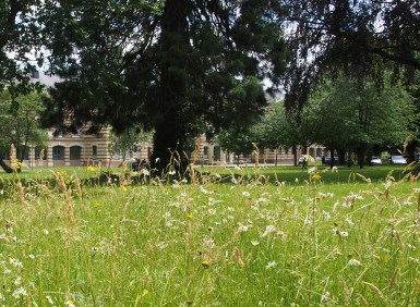 parcelle du parc du CHR