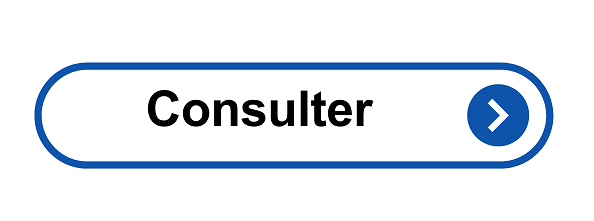 bouton "consulter"