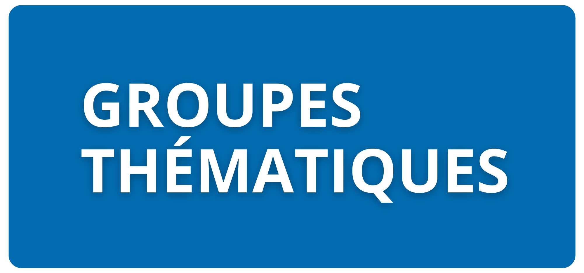 Groupes thématiques