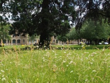 parcelle du parc du CHR