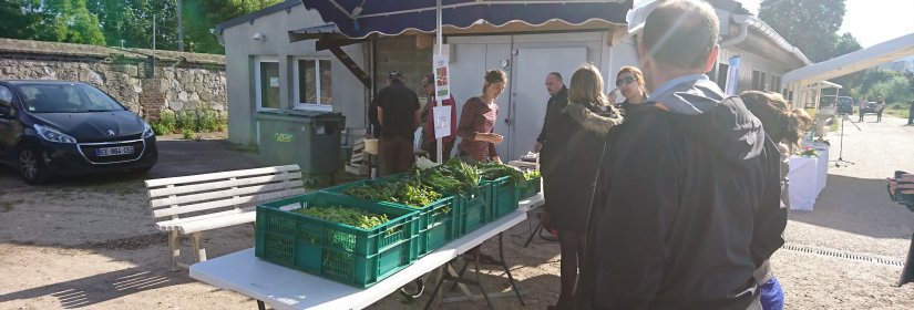 Section maraichage CHR ARRED Le ateliers du cailly